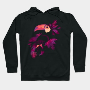 Toucan Silhouette Hoodie